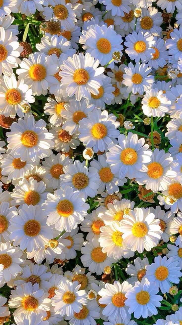 Lumi Vortex Group workshop space where corporate flower arrangements are designed and prepared for business delivery